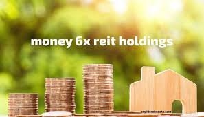 money 6x reit holdings- baddiehub